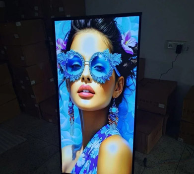 2 by 4 Ultra Thin Light Box Services